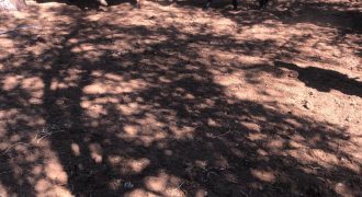 VENTA- CAMPO PASO VIEJO