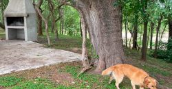VENTA DE LOTES – PEDRANIAS DEL RIO MANSO